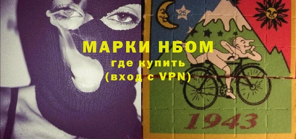 стаф Ельня