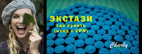 стаф Ельня