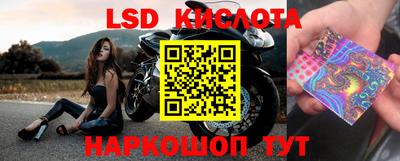 соль курить ск Новодвинск