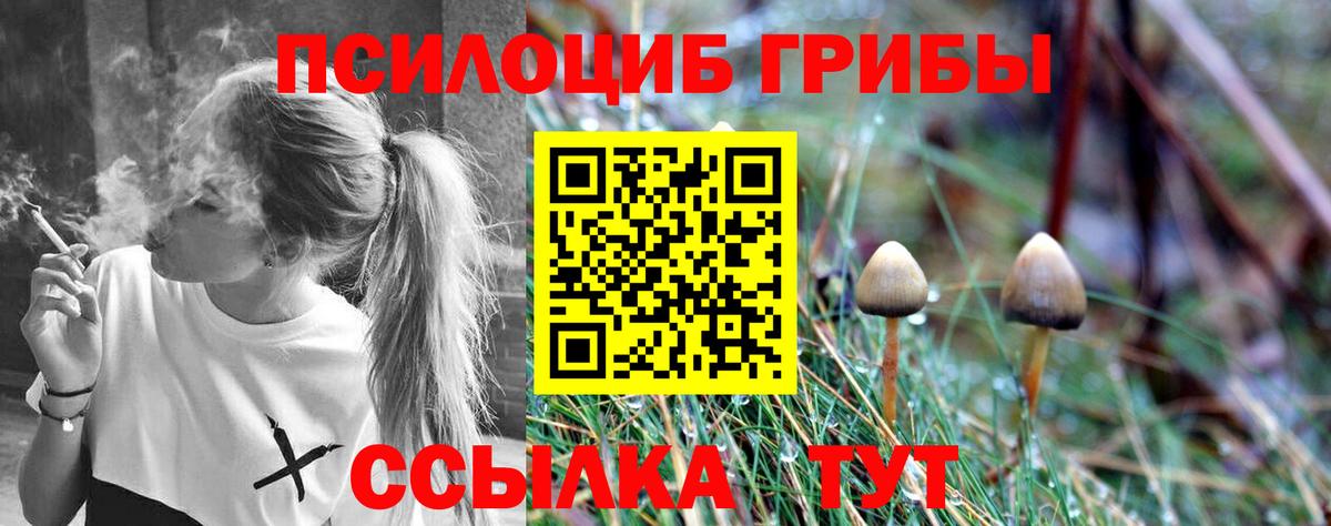 Отрадный  купить закладку  Вход с VPN  Псилоцибиновые грибы мицелий 