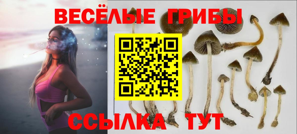 Псилоцибиновые грибы Magic Shrooms Отрадный