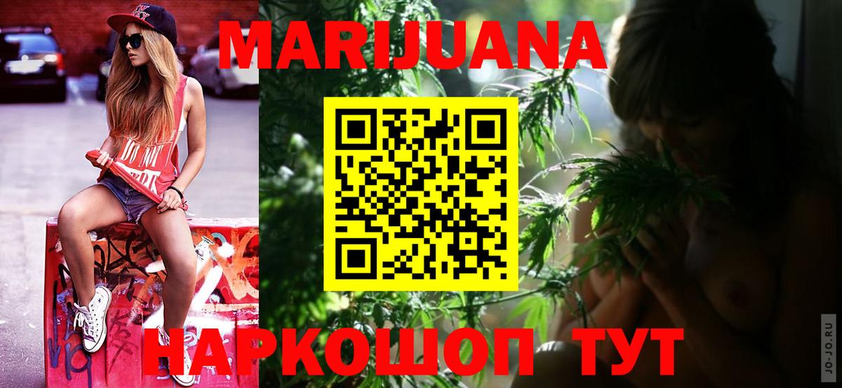 Конопля SATIVA & INDICA Отрадный